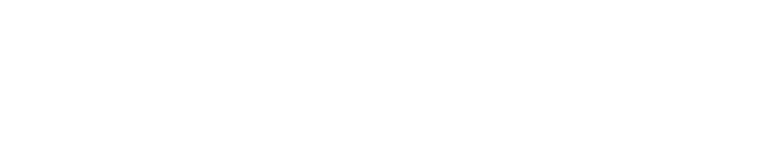 Wholesure Logo