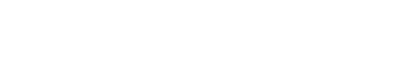 Wholesure Logo