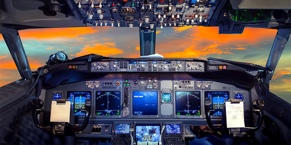 Commercial and Private Pilot Disability Options