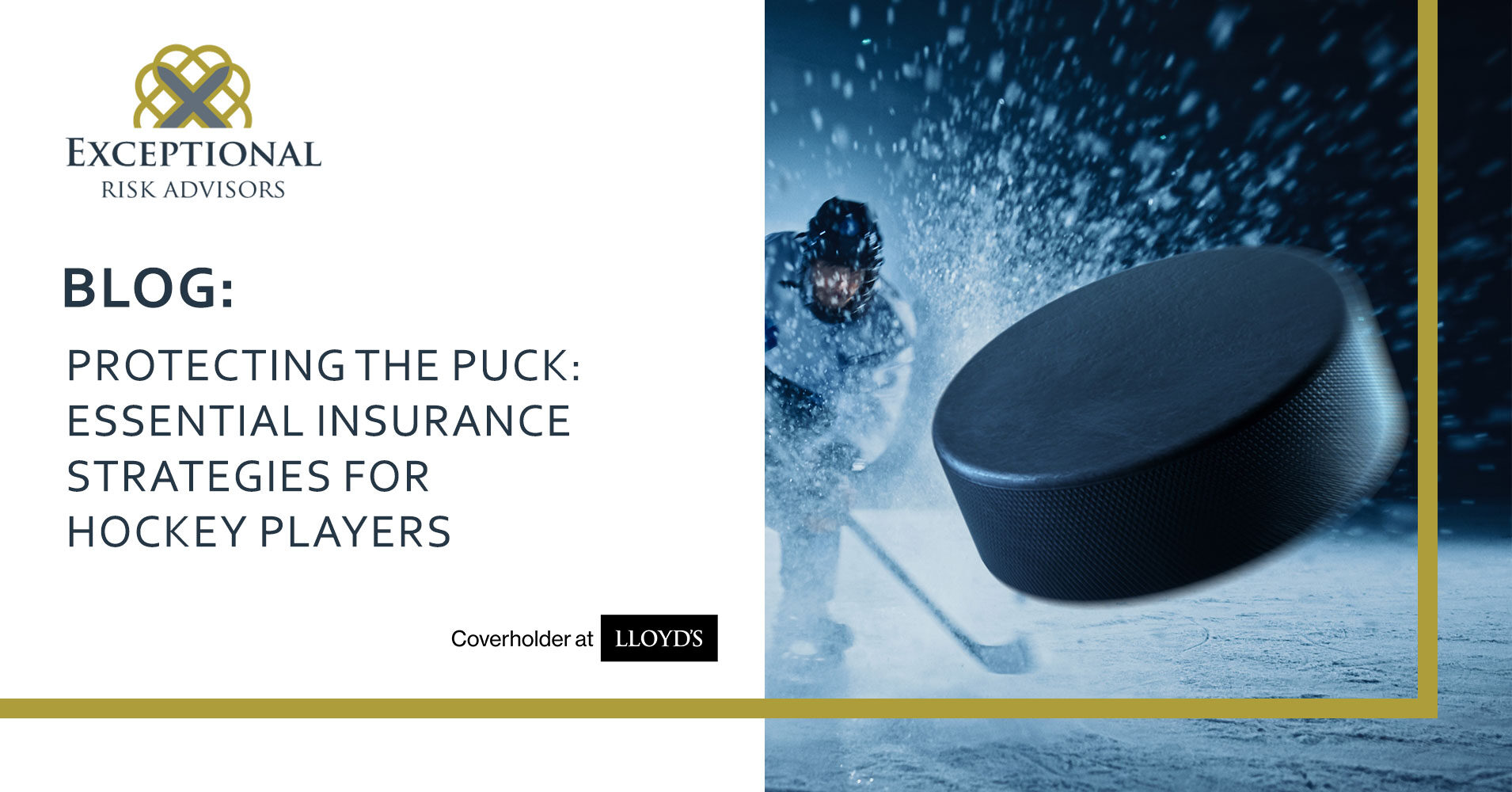 Disability Insurance for Professional Hockey Players
